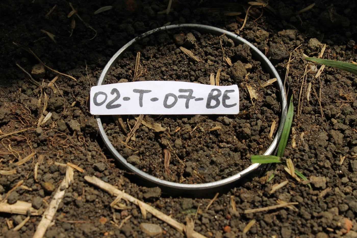 Soil sampling in the field
